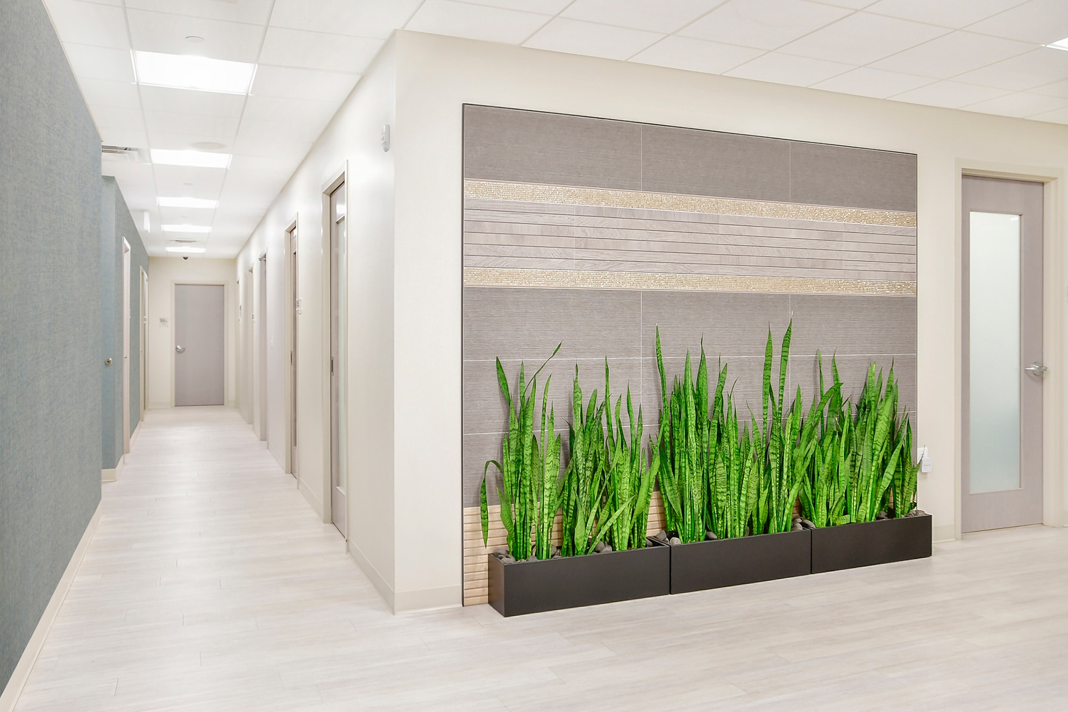 Plastic Surgery Center